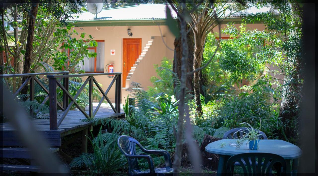 Andelomi Forest Lodge Stormsrivier Esterno foto