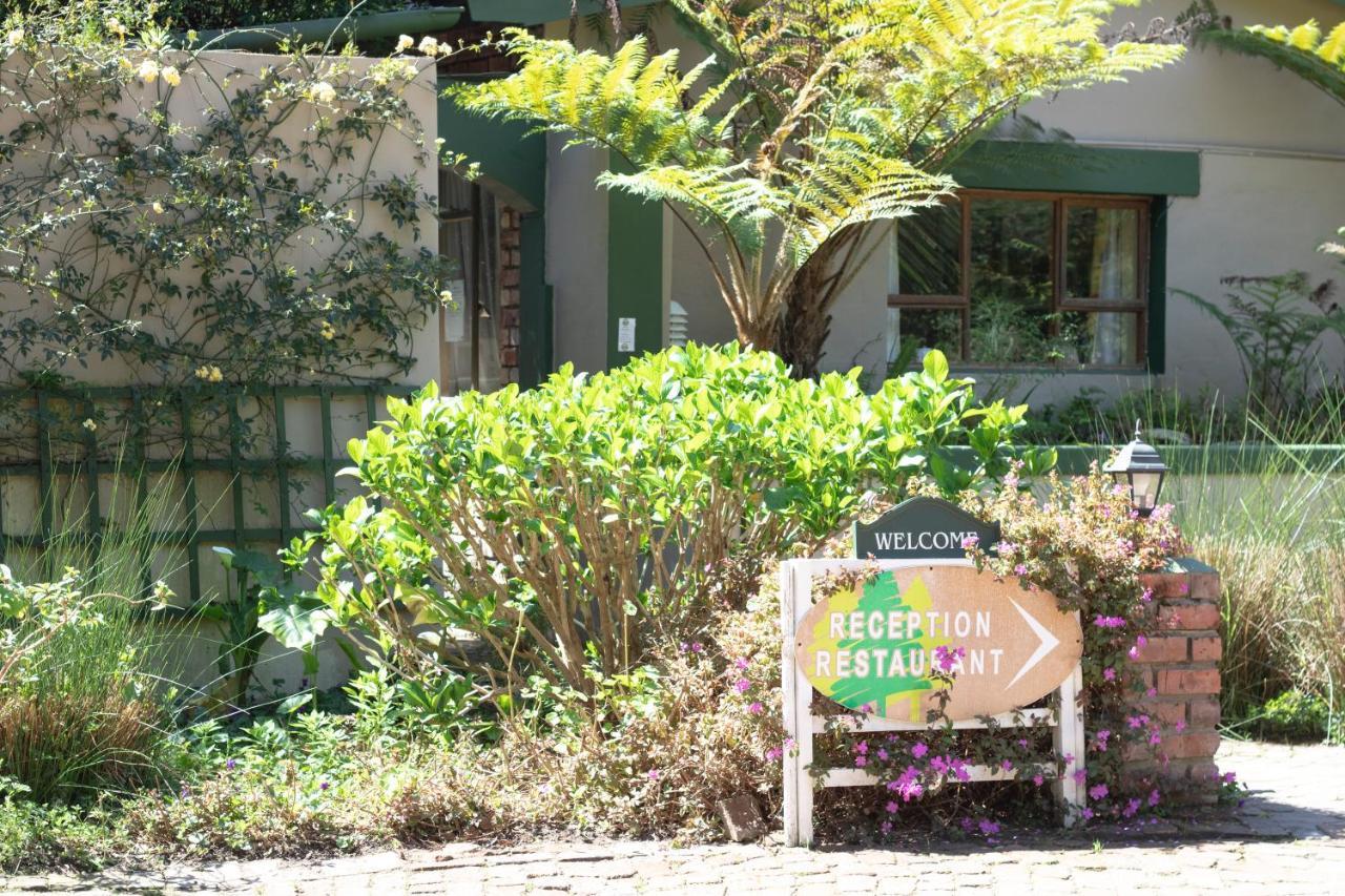 Andelomi Forest Lodge Stormsrivier Esterno foto