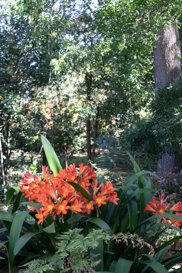 Andelomi Forest Lodge Stormsrivier Esterno foto