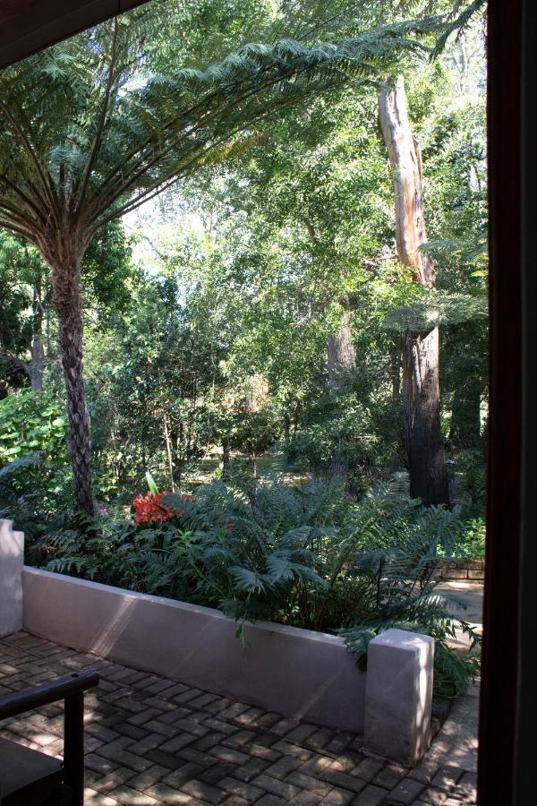 Andelomi Forest Lodge Stormsrivier Esterno foto