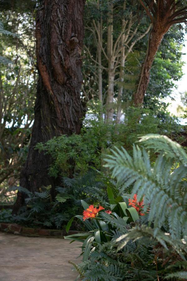 Andelomi Forest Lodge Stormsrivier Esterno foto
