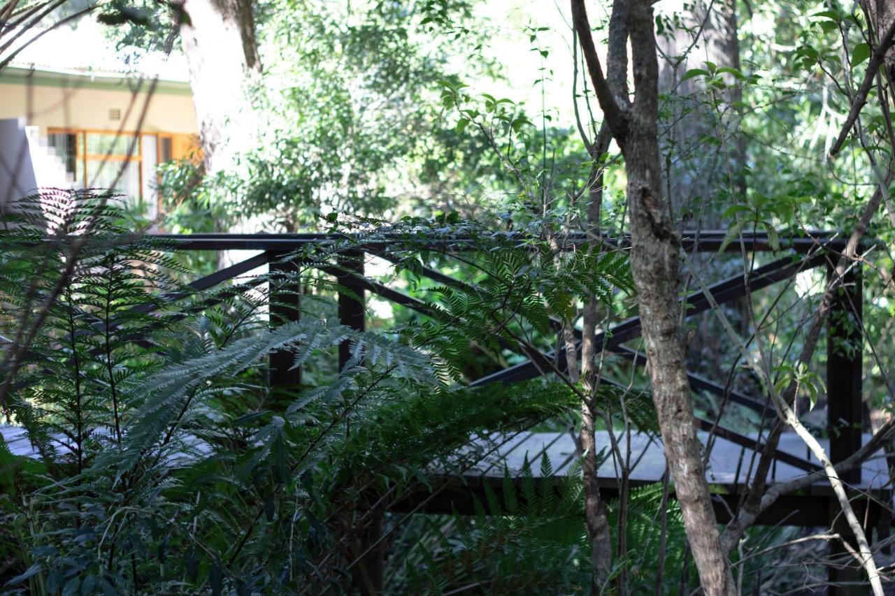 Andelomi Forest Lodge Stormsrivier Esterno foto