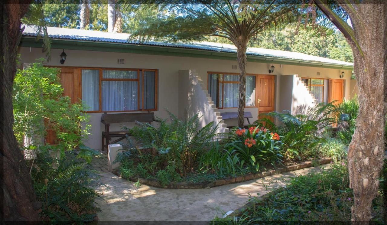 Andelomi Forest Lodge Stormsrivier Esterno foto
