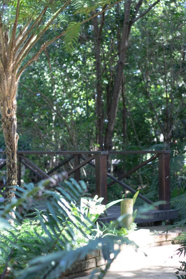 Andelomi Forest Lodge Stormsrivier Esterno foto