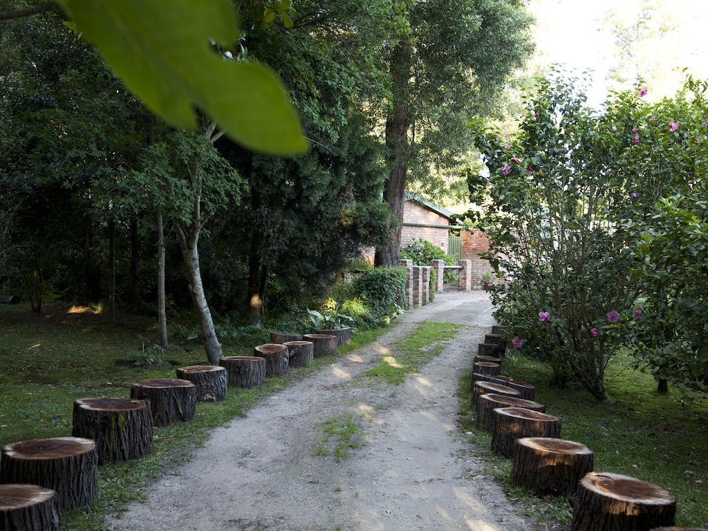 Andelomi Forest Lodge Stormsrivier Esterno foto