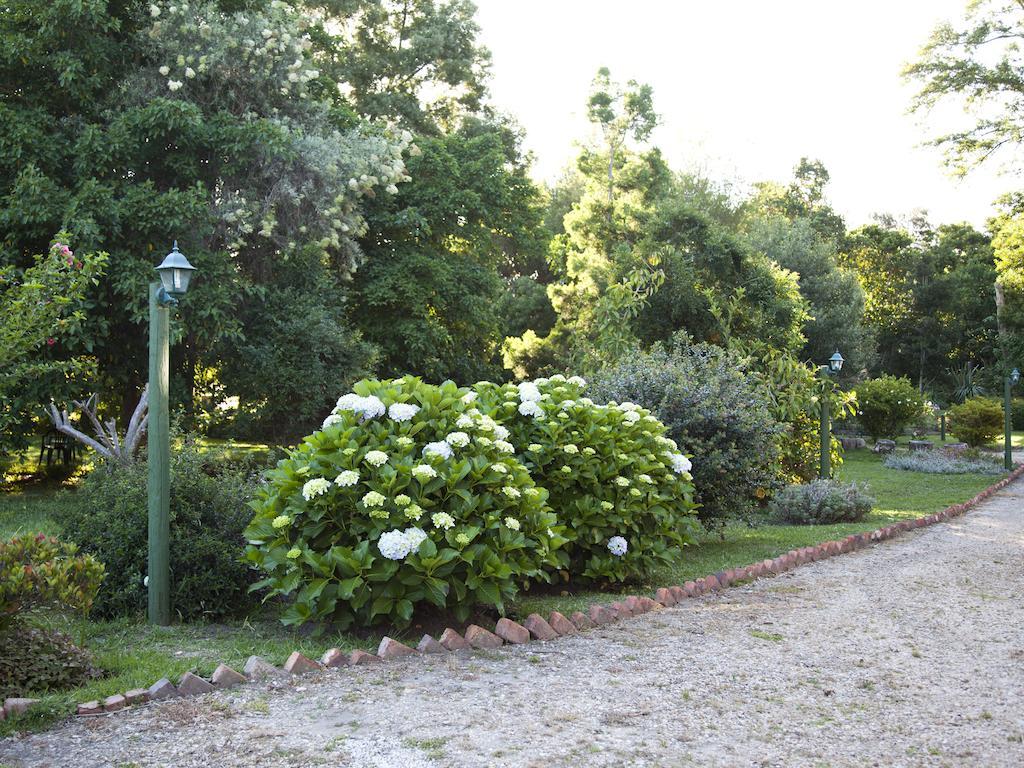 Andelomi Forest Lodge Stormsrivier Esterno foto