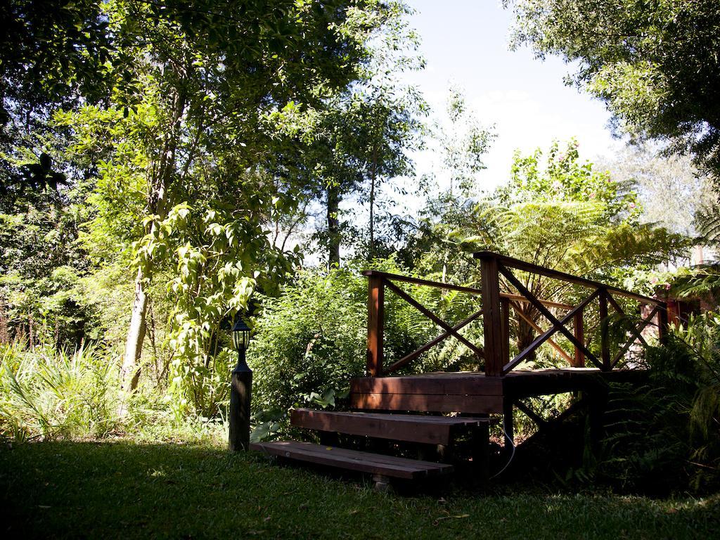 Andelomi Forest Lodge Stormsrivier Esterno foto