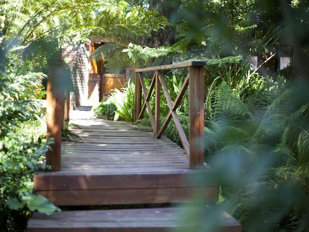 Andelomi Forest Lodge Stormsrivier Esterno foto
