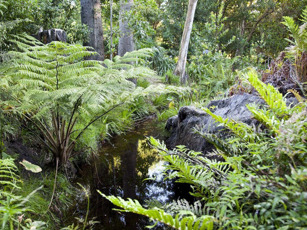 Andelomi Forest Lodge Stormsrivier Esterno foto