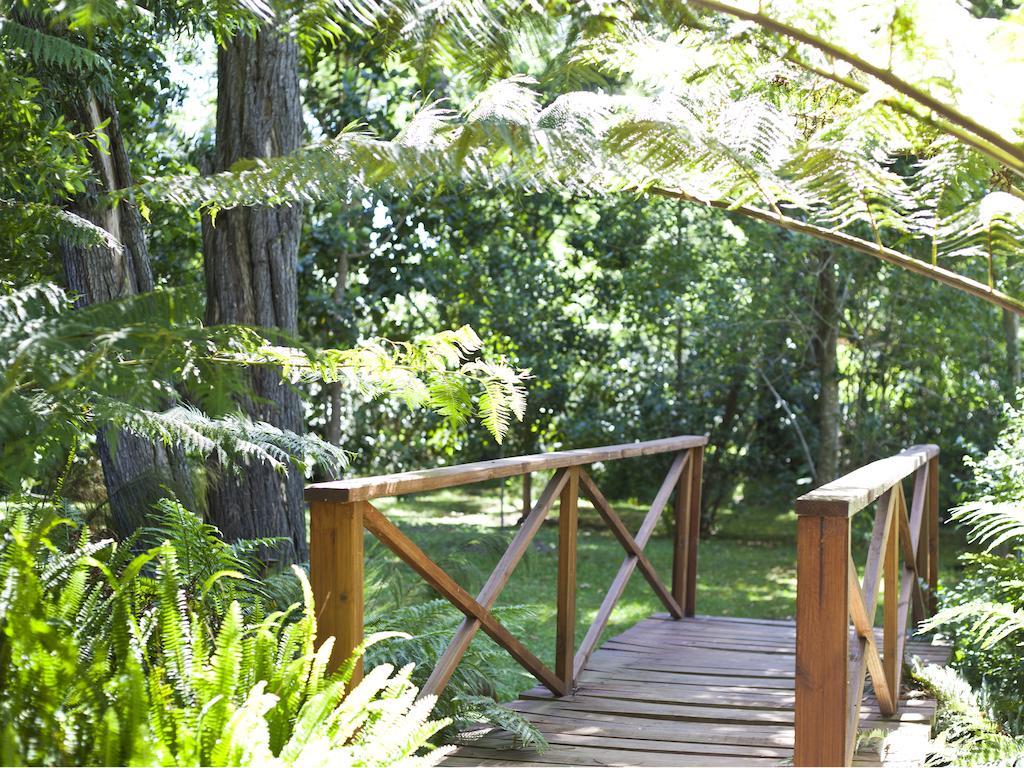 Andelomi Forest Lodge Stormsrivier Esterno foto